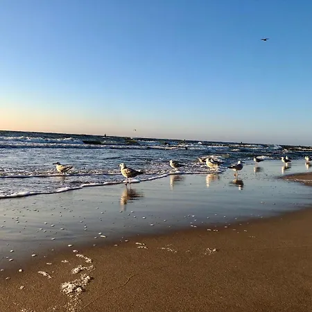 Park Отель типа 