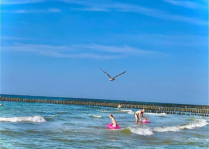 Park Bed and breakfast