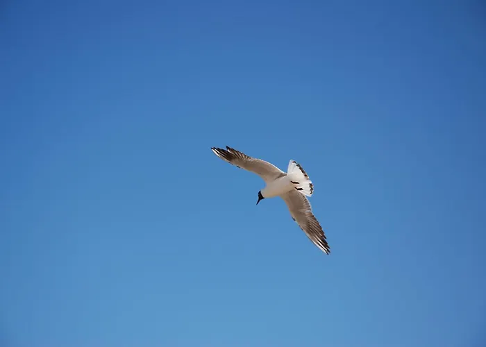 Bed and breakfast Park