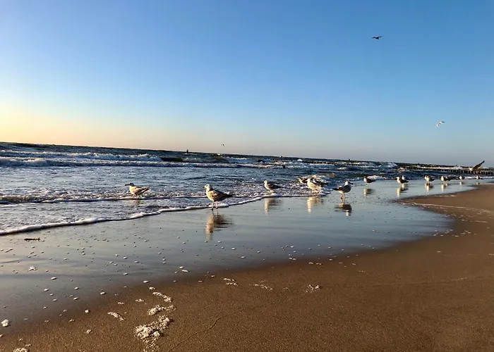 Park Bed and breakfast *